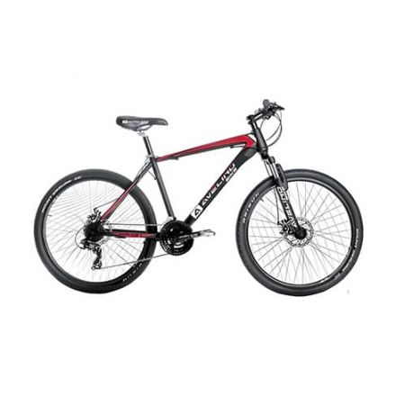 Bicicleta Mountain Bike Hombre Avelino R-29 21 Shimano